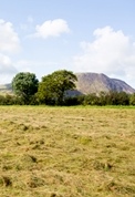 hay ready for baling